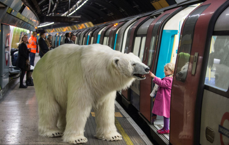 http://www.shotmcn.com/blog/wp-content/uploads/2015/01/polar-bear-london-770x488.jpg