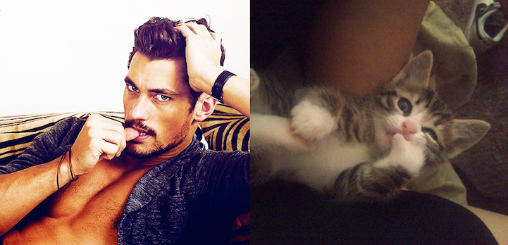 Sexy Men & Lovely Cats in Similar Poses